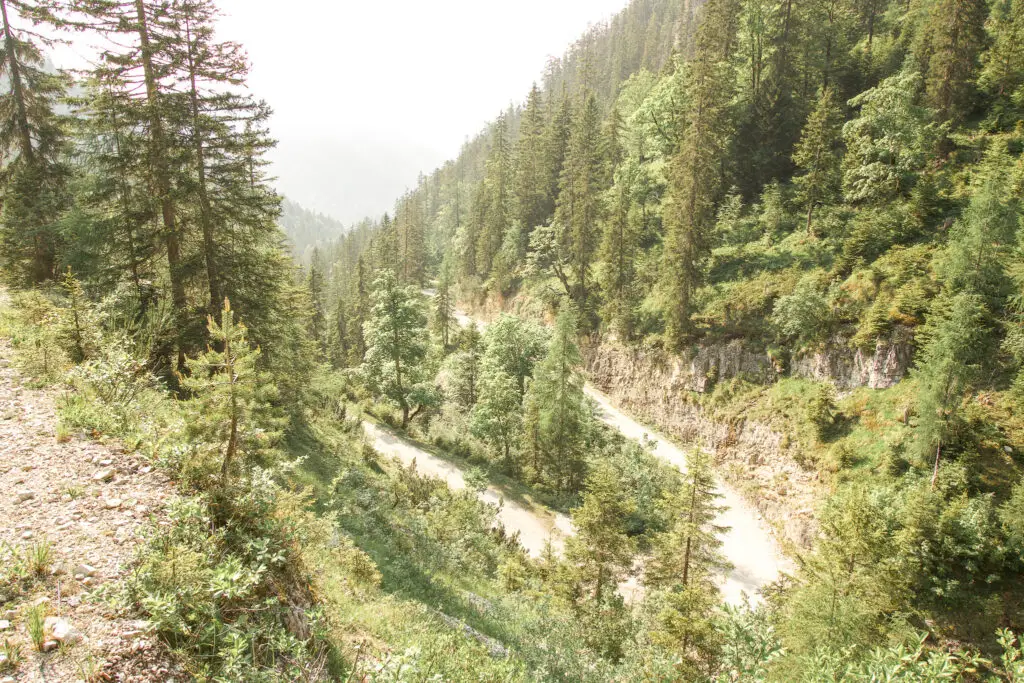 Blick in ein Tal mit Forstweg im Revier Giessenbach Tirol
