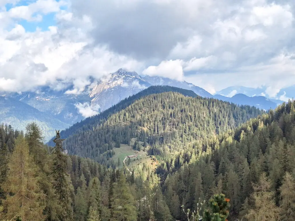 Panoramablick über das Jagdrevier Giessenbach mit Bergen und Waldlandschaft in Tirol