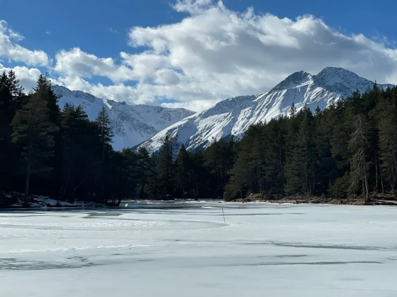 Zugefrorener See umgeben von schneebedeckten Bergen und Wald in Tirol.